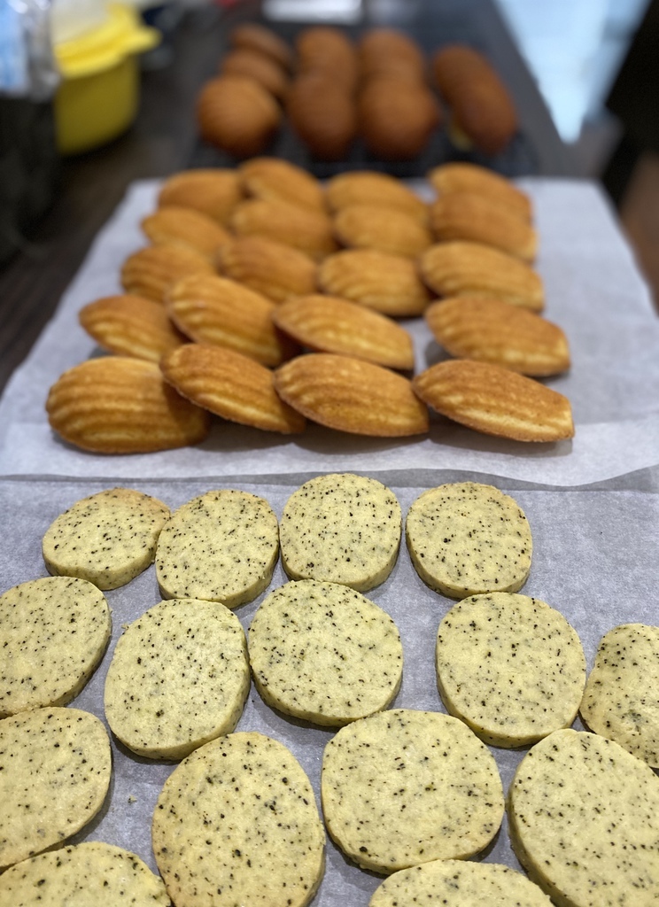 IMG_4737.HEIC IMG_4737.HEIC