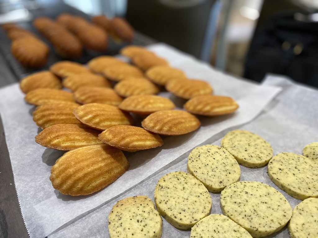 IMG_4738.HEIC IMG_4738.HEIC