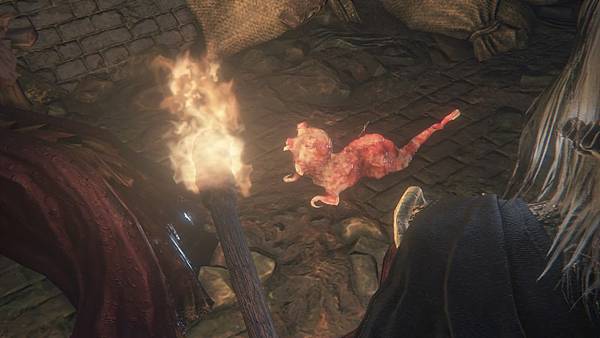 Bloodborne®_20150412104902.jpg