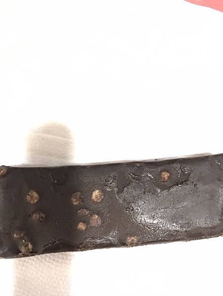 大試用時代-優萃生技【JoyProtein】海鹽巧克力蛋白棒