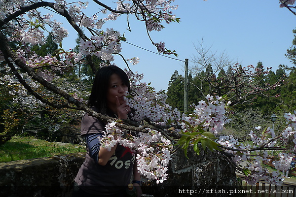 P1000587.JPG