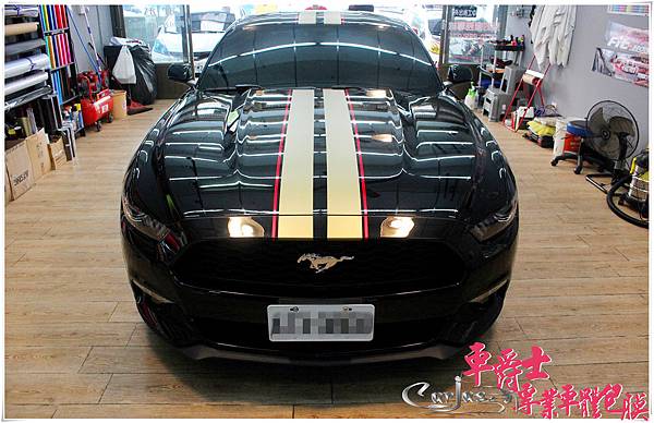 FORD 野馬 運動線條 車身彩貼 FORD 野馬 運動線條 車身彩貼