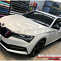 車爵士車體包膜車身彩貼-SKODA SUPERB 車頭迎風面 TPU自體修復透明犀牛皮保護膜