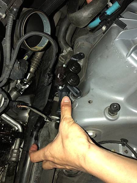 S__3964975.jpg S__3964975.jpg