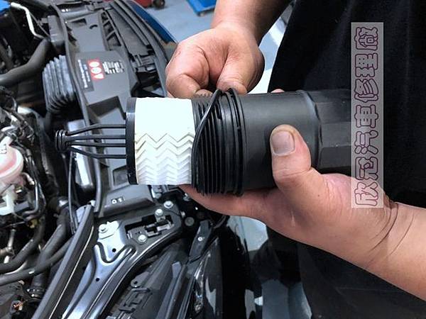 IMG_1185.jpg IMG_1185.jpg