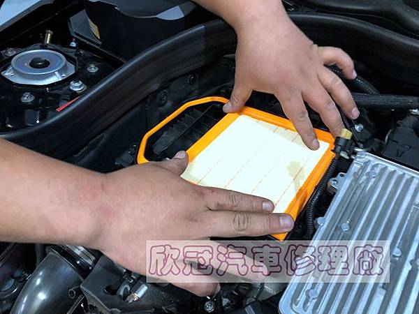 IMG_1194.jpg IMG_1194.jpg