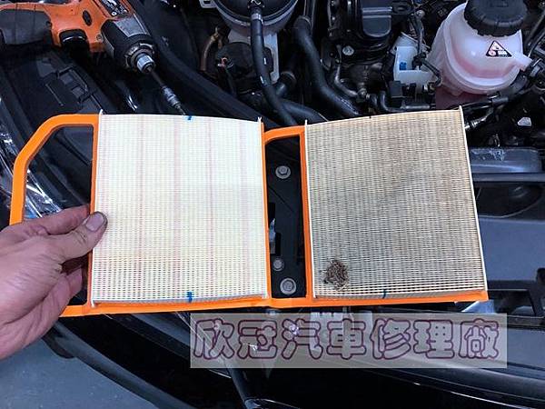 IMG_1189.jpg IMG_1189.jpg