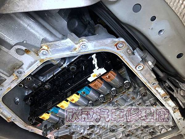 IMG_1350.jpg IMG_1350.jpg