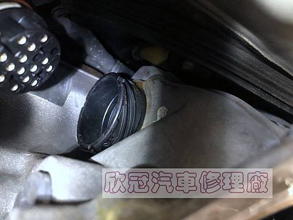 IMG_1351.jpg IMG_1351.jpg