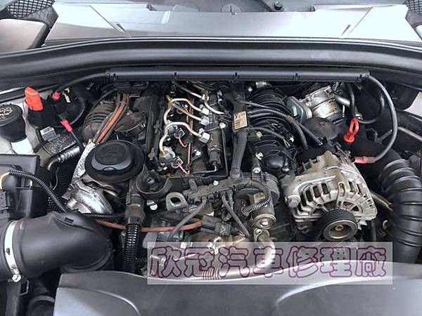 IMG_1342.jpg IMG_1342.jpg