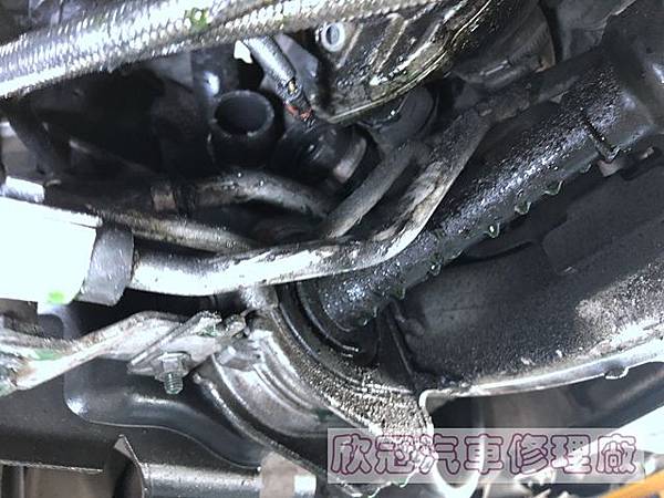 2019-07-16 15.46.13.jpg