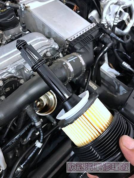 2019-03-25 14.08.09.jpg 2019-03-25 14.08.09.jpg