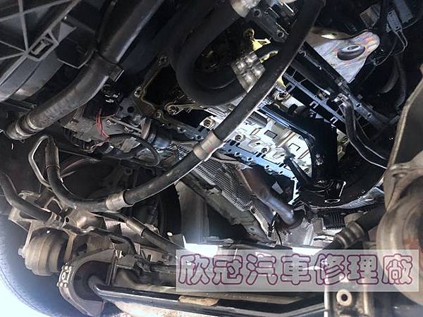 IMG_2015.jpg IMG_2015.jpg