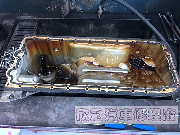 IMG_2016.jpg IMG_2016.jpg