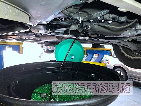 IMG_2590.jpg IMG_2590.jpg