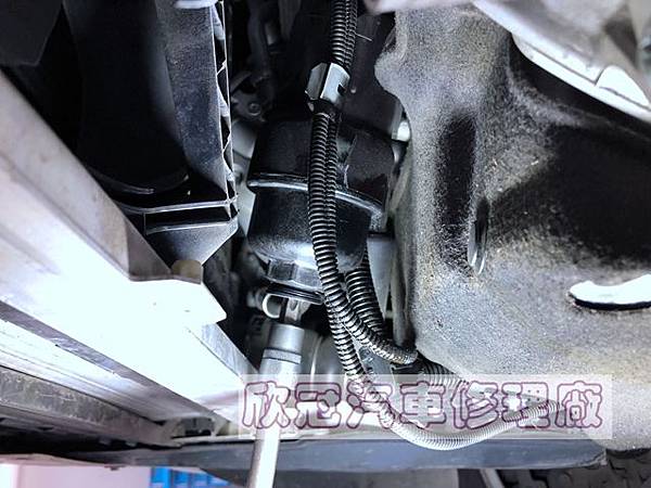 IMG_2597.jpg IMG_2597.jpg