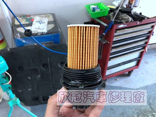 IMG_2595.jpg IMG_2595.jpg