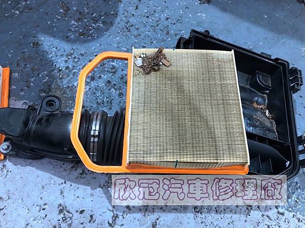 IMG_2770.jpg IMG_2770.jpg