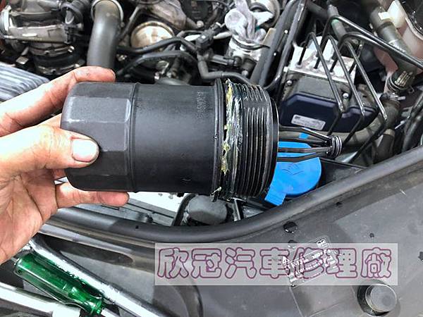 IMG_2771.jpg IMG_2771.jpg