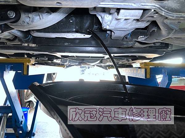 IMG_2779.jpg IMG_2779.jpg