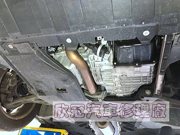 IMG_2805.jpg IMG_2805.jpg