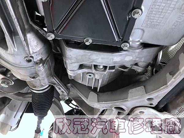 IMG_3230.jpg IMG_3230.jpg