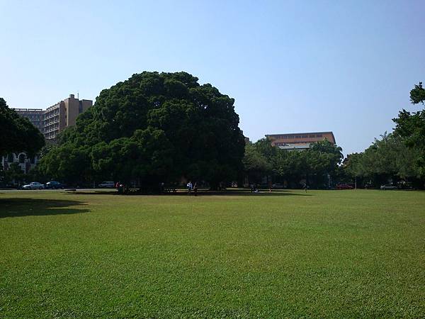 2012.11.7 成功大學榕園