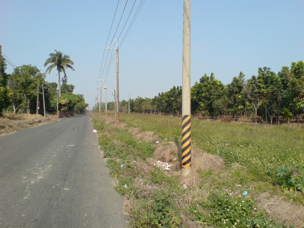 虎山路景色2