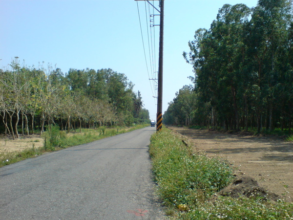 虎山路拓建(5/9) 虎山路拓建(5/9)
