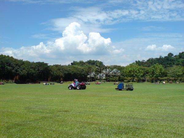 DSC04704.JPG DSC04704.JPG