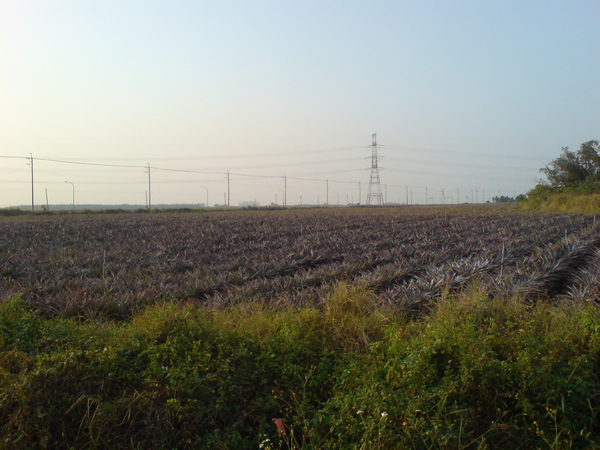 DSC06143.JPG DSC06143.JPG