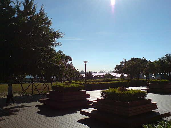 DSC08460.JPG DSC08460.JPG