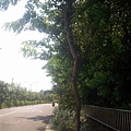 20110812 (21).JPG