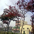 20110319 (11).jpg