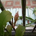 20111027 (18).JPG