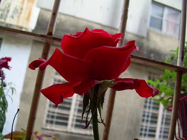 20120321 (43)