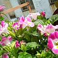 20120328 (11)