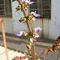 20120331 (0)