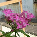 20120331 (22)