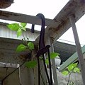 20120331 (26)