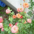 20120405 (30)