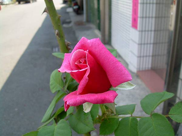 20120423 (9)