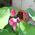 20120426 (20)