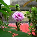 20120519 (0)