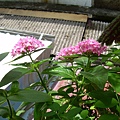 20120716 (2)