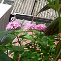 20120716 (1)