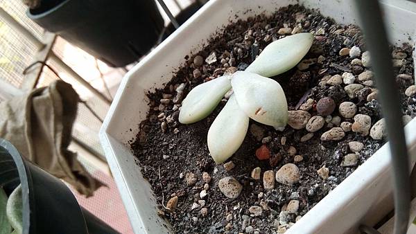 20190403 (3) 20190403 (3)