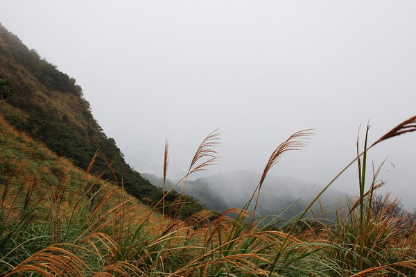 霧茫茫ㄧ片