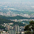 中正山-2.JPG