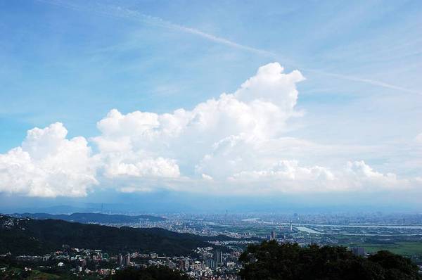 中正山-3.JPG